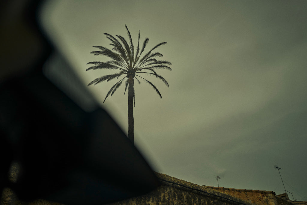 Sineu, Illes Balears, 2022