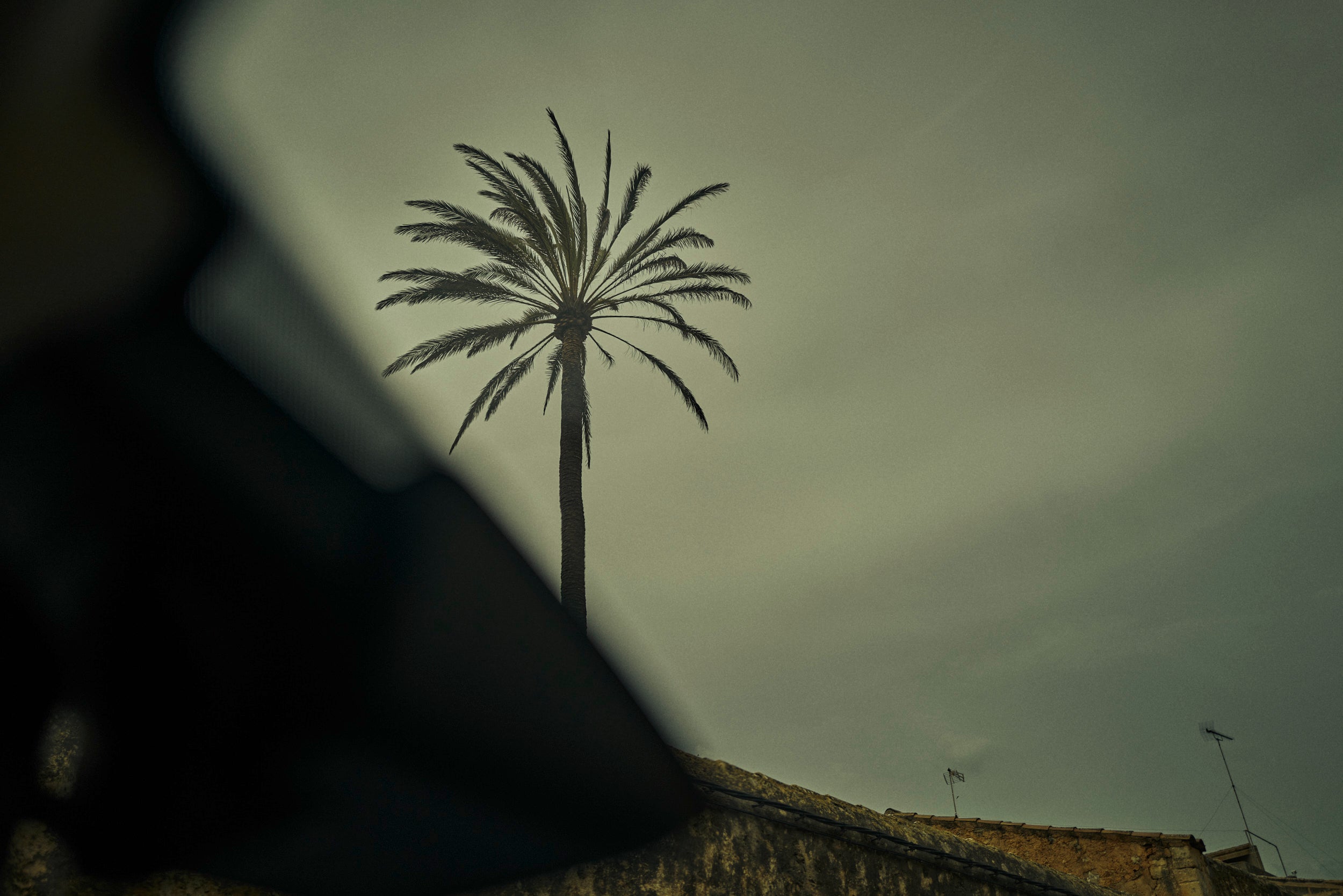 Sineu, Illes Balears, 2022