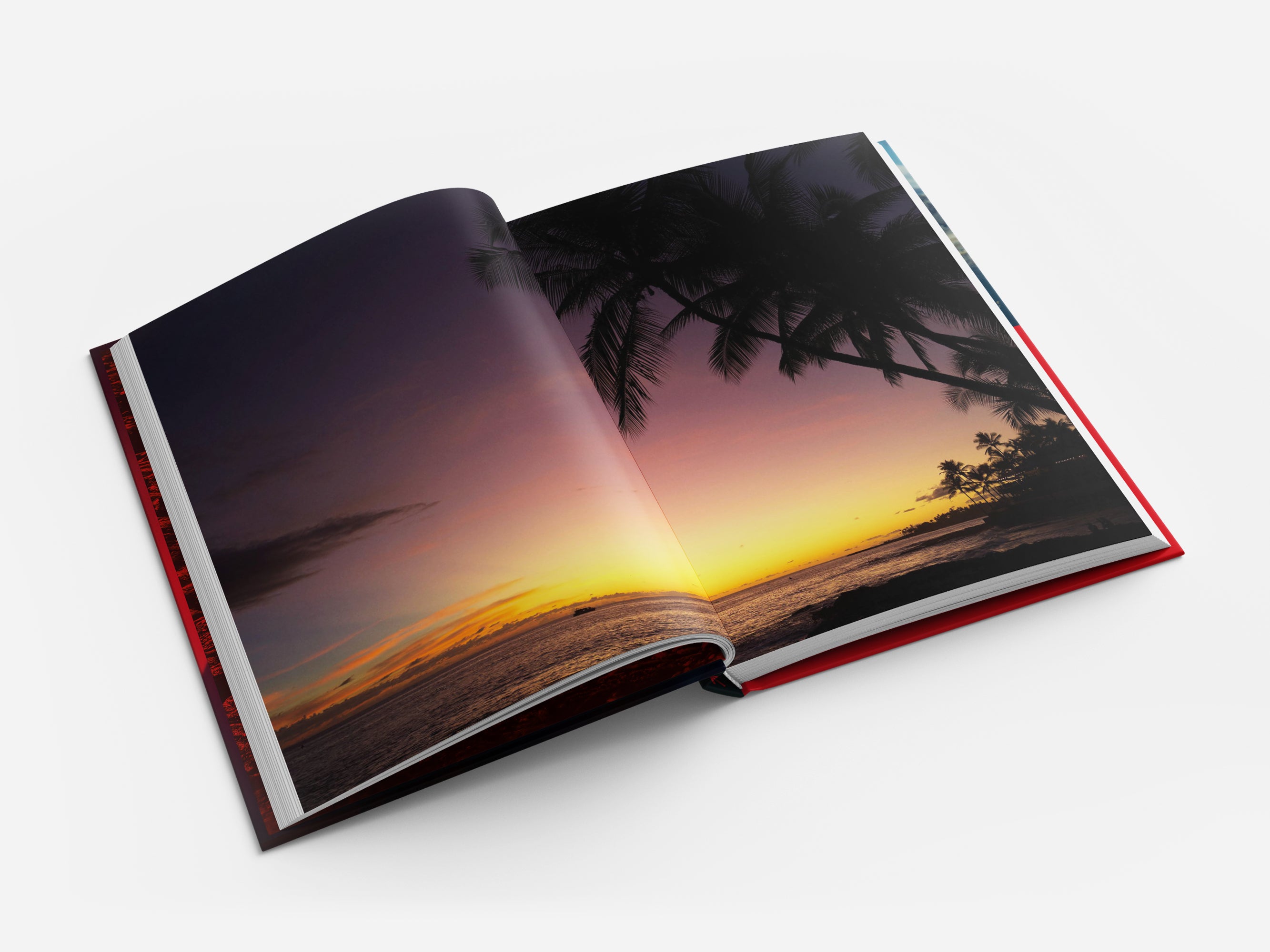 Till I Collapse - Jan Frodeno Book