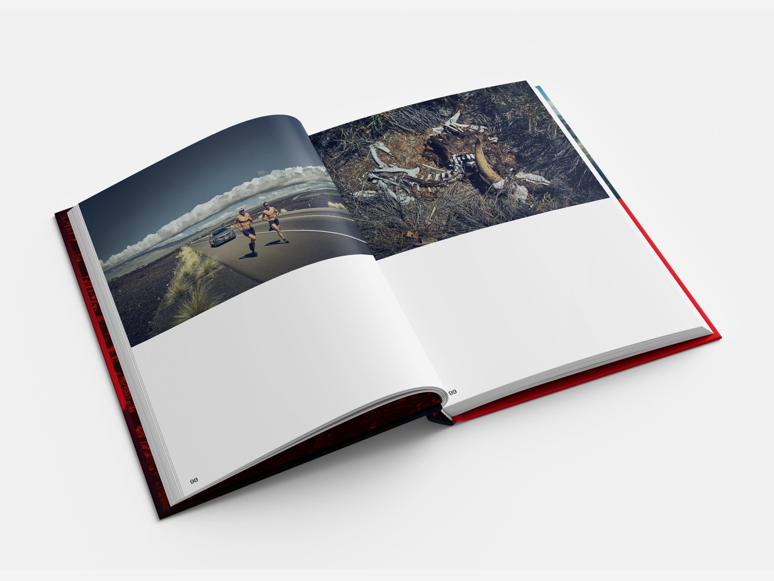 Till I Collapse - Jan Frodeno Book