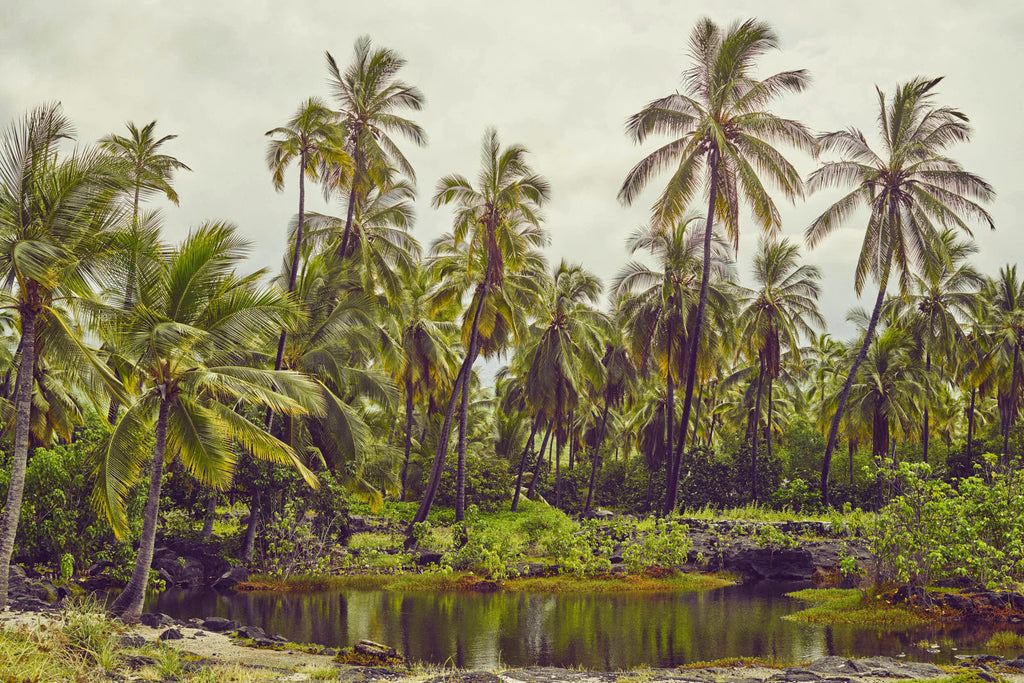 Kealakekua Bay, Kona, Hawaii, 2017