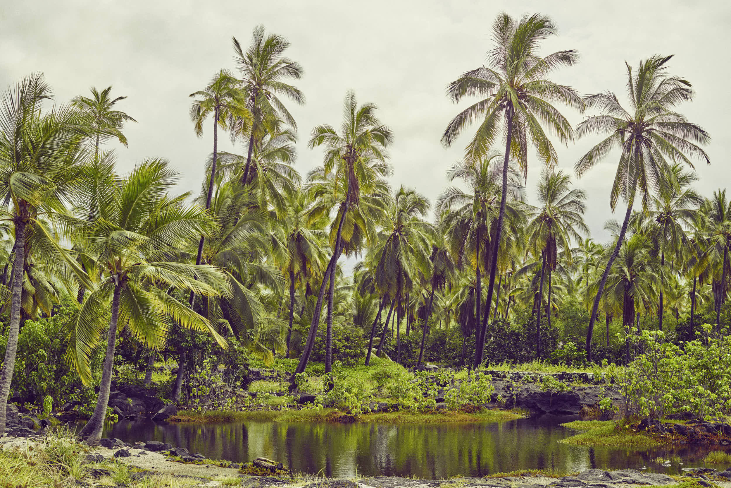 Kealakekua Bay, Kona, Hawaii, 2017