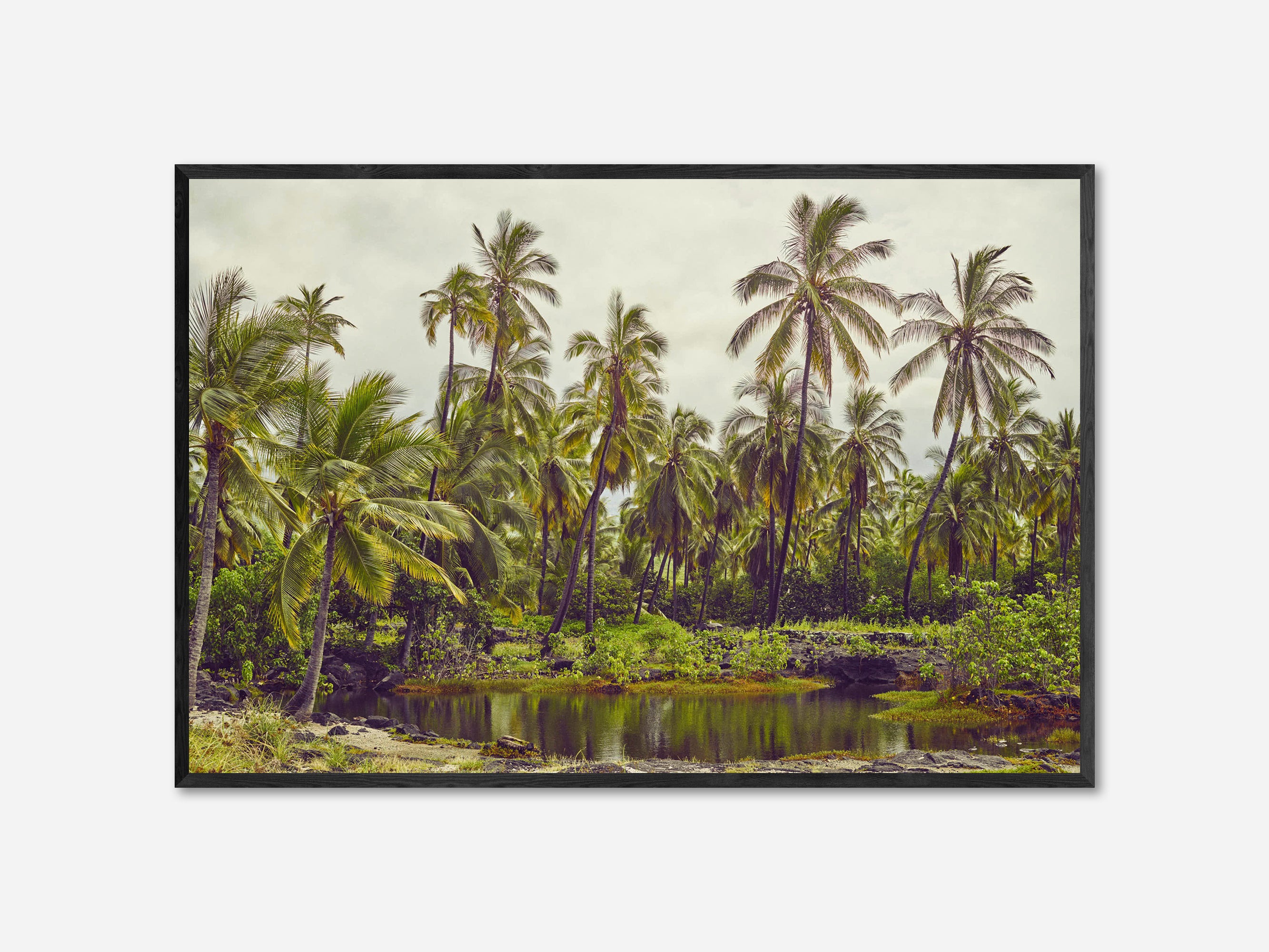 Kealakekua Bay, Kona, Hawaii, 2017