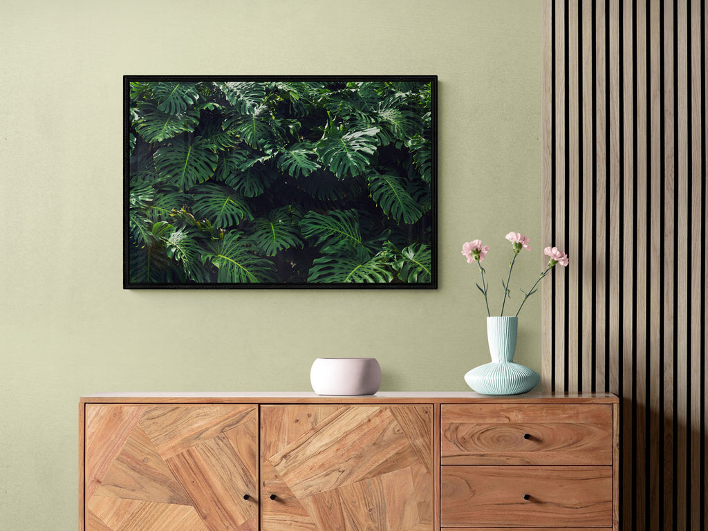 Monstera, Hawaii, 2022