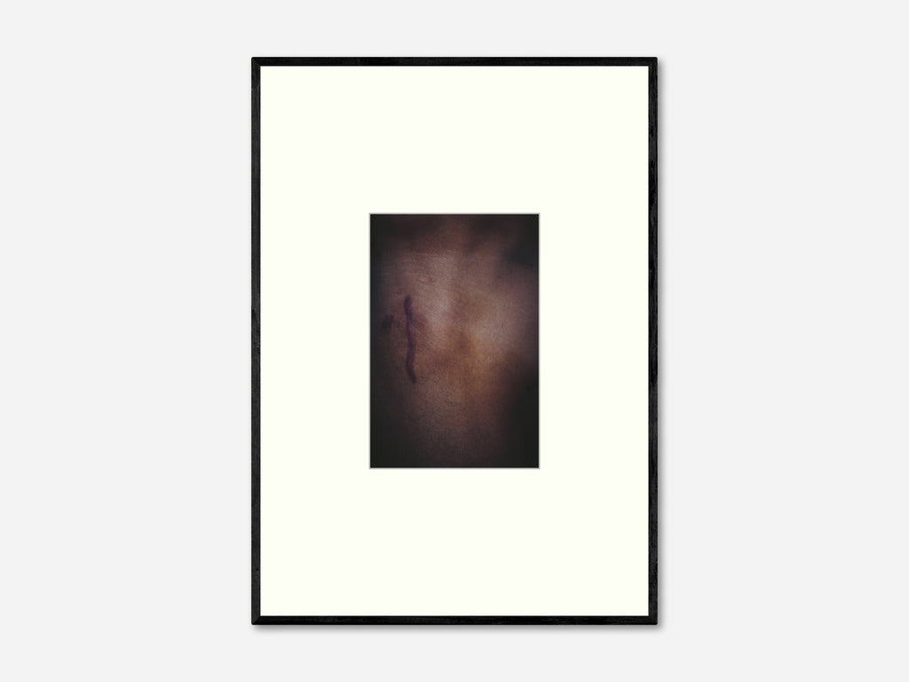 Jan Frodeno, Body Parts I / IV