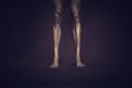 Jan Frodeno, Body Parts II / IV